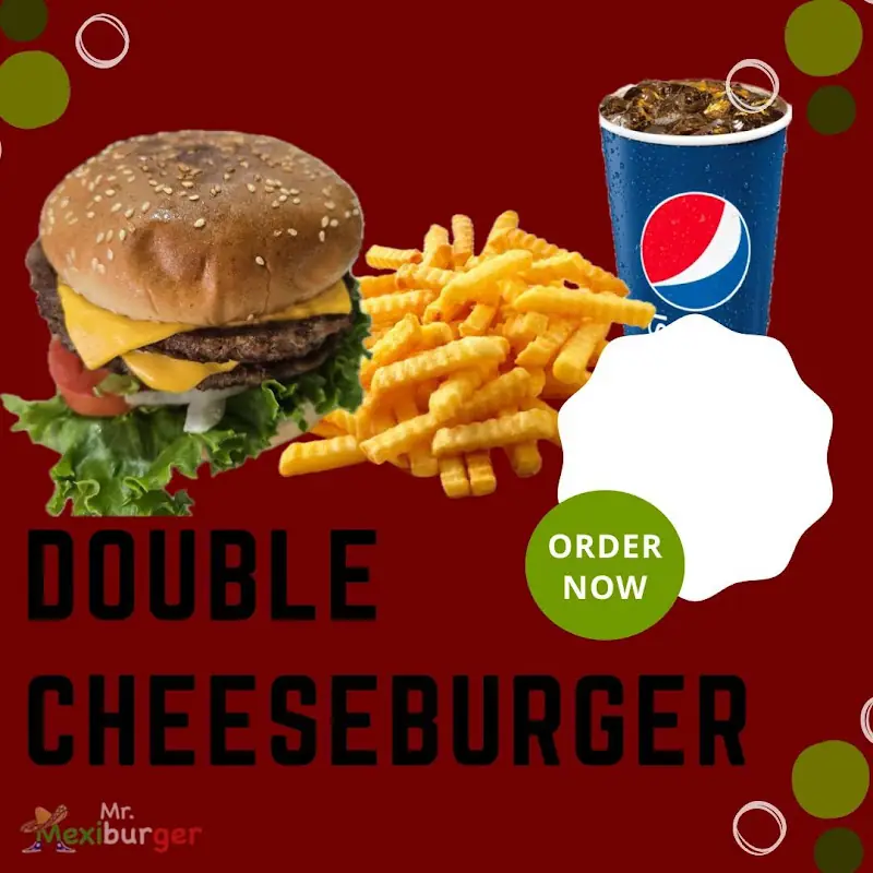 Chicken Burger Combo