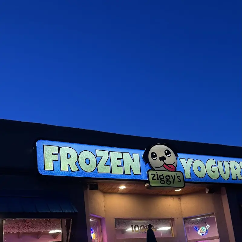Ziggy's Frozen Yogurt
