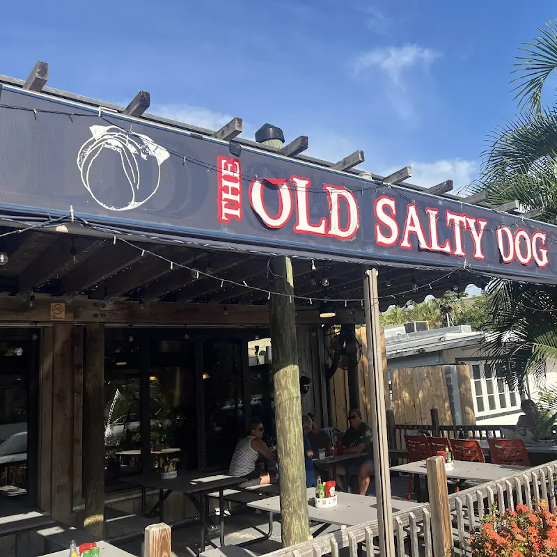 The Old Salty Dog