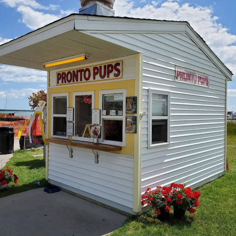 Pronto Pups