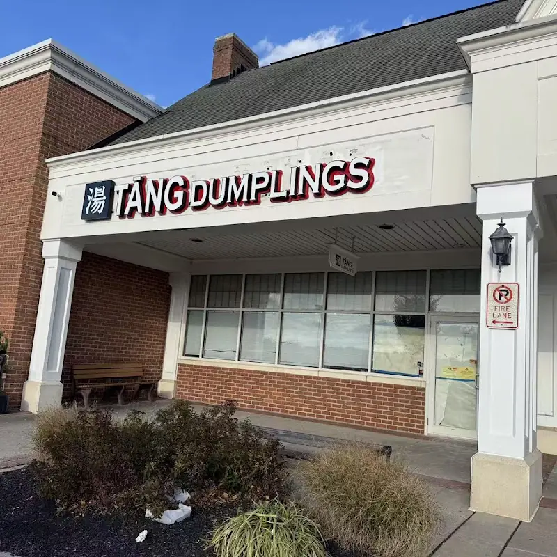 Tang Dumplings