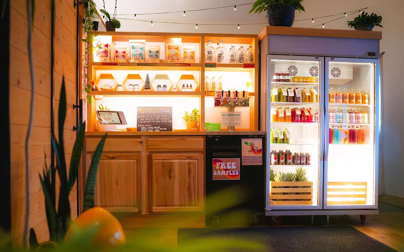 Vibrant Roots Organic - Jun Kombucha, Juice, & More