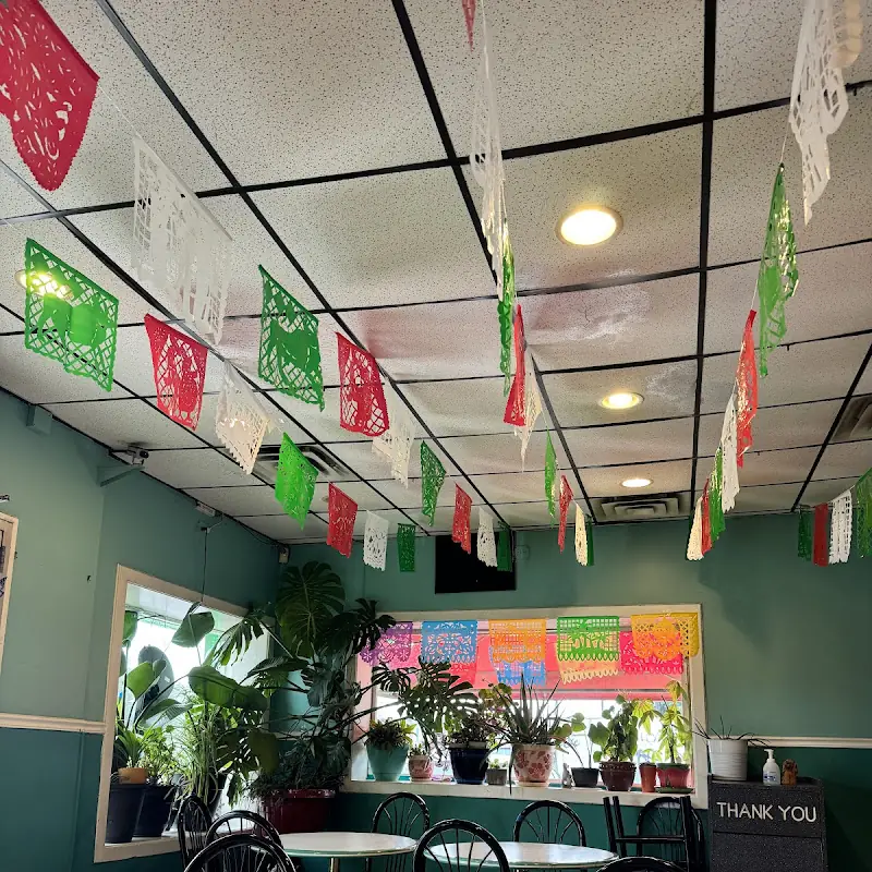 Temax garden café