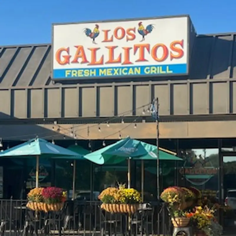 L-Pollo Loco Platillo