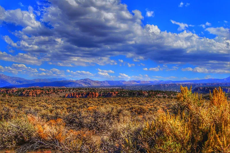 Fish Lake Valley Saloon