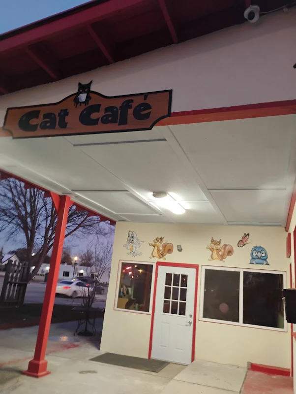 Cat Daddy's Cat Café