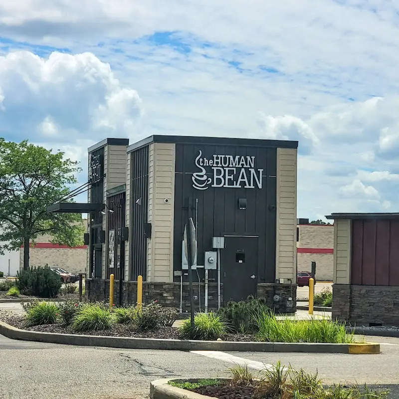 The Human Bean