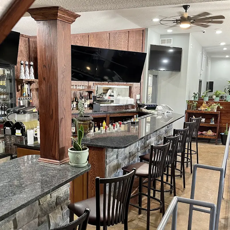 The Jungle Mexican Cantina & Handmade Tortillas