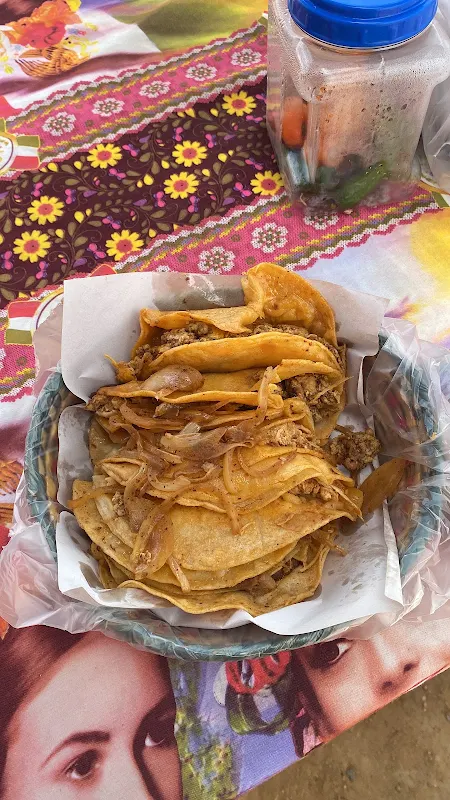 Tacos de canasta