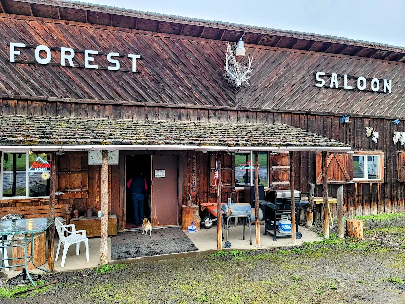 Forest Saloon