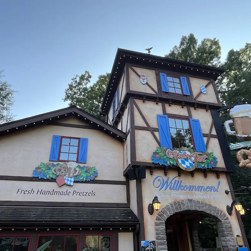 German Pretzels and Beer