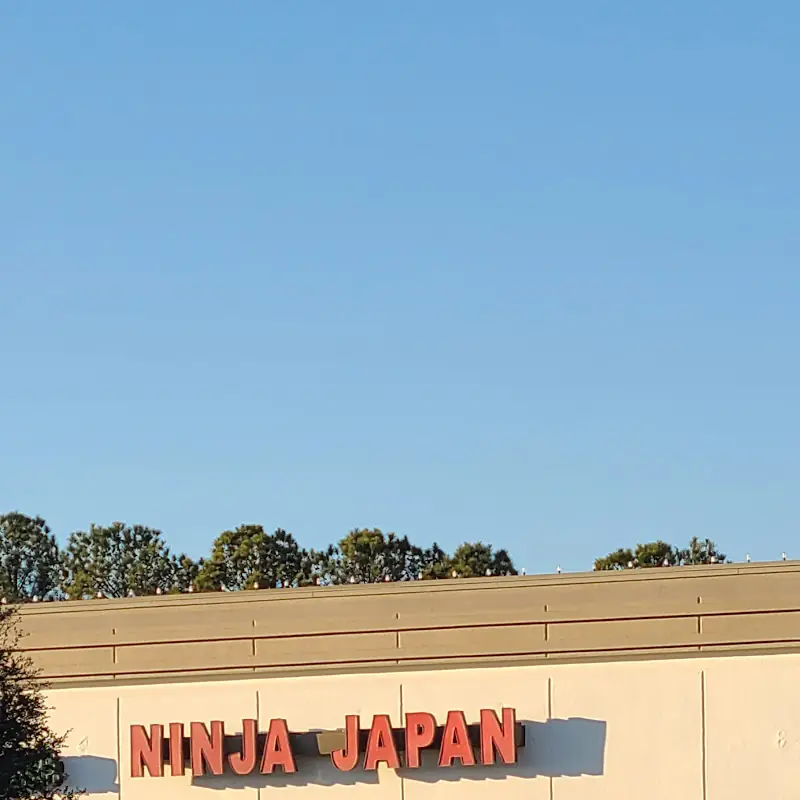 Ninja Japan