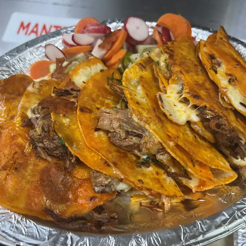 Avocado Quesadilla