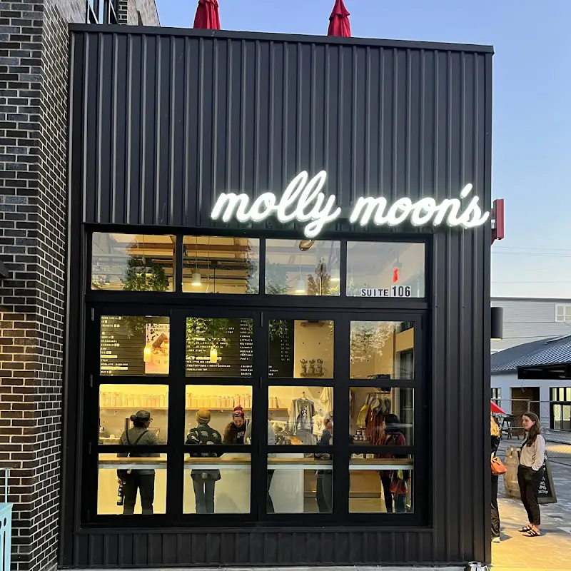 Molly Moon's Homemade Ice Cream