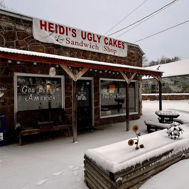 Heidi's Ugly Cakes and Sandwich Shop