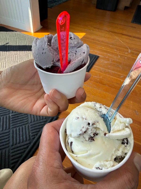 Compass Rose Coffee & Creamery