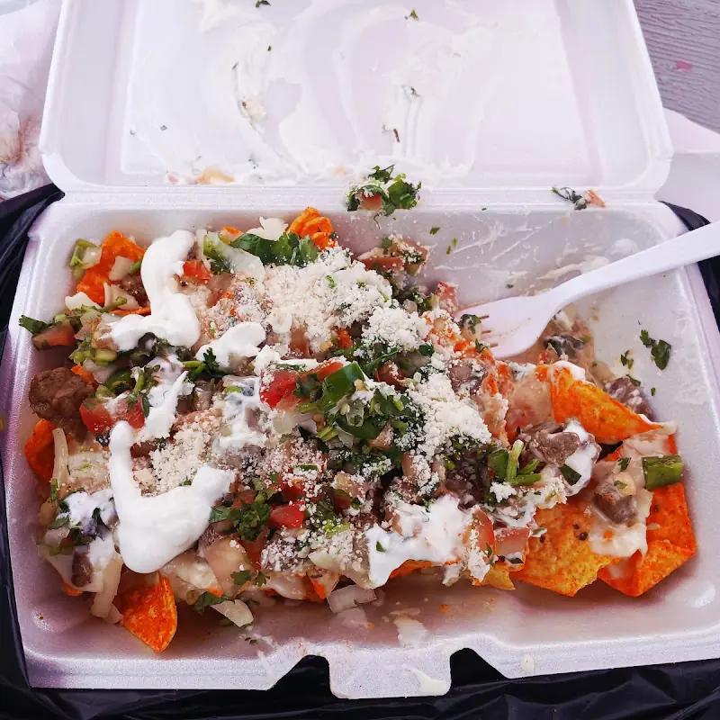 Carne Asada Fries