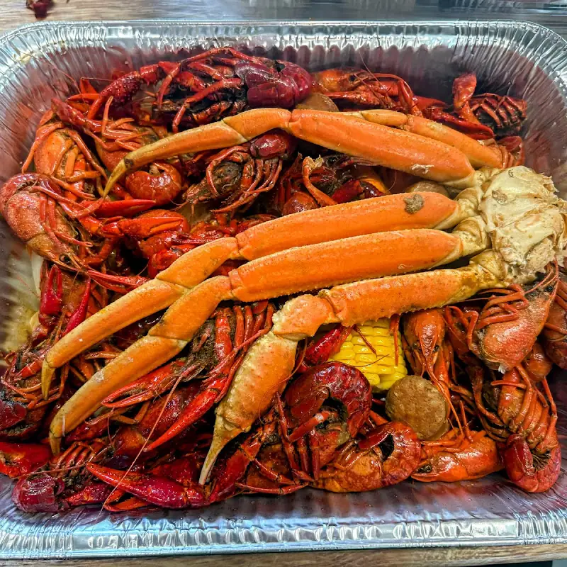 Mudd Bugs LLC