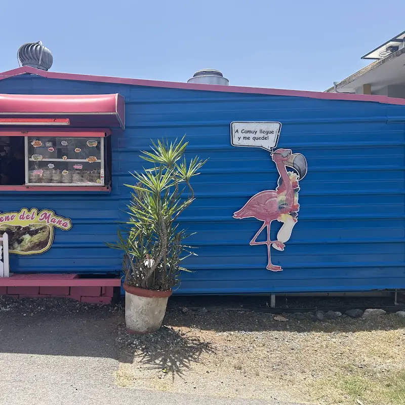 El Punto del Flamingo