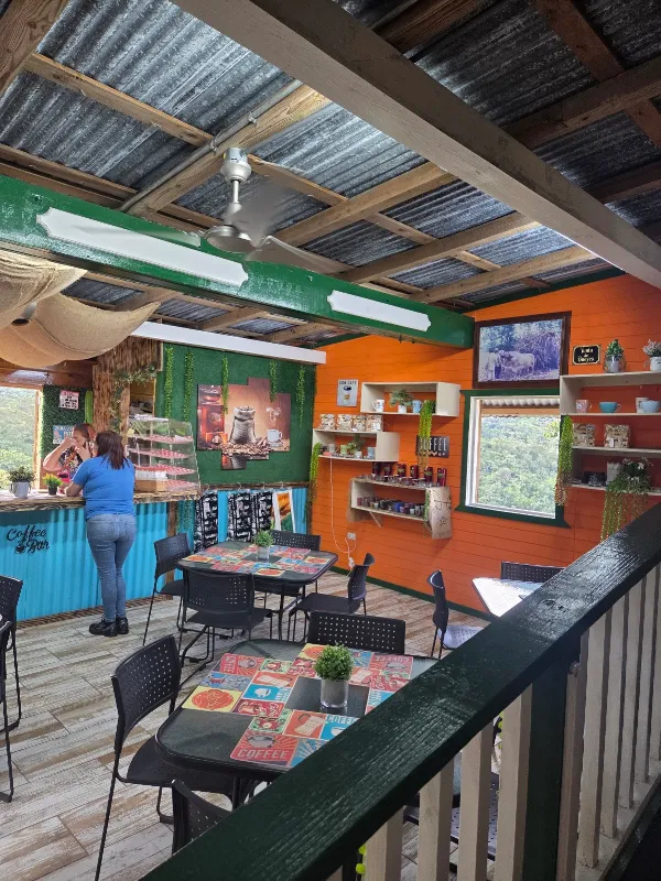 Museo del Café