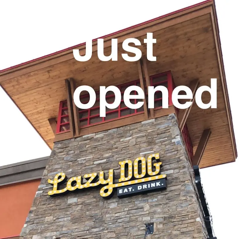 Lazy Dog Restaurant & Bar