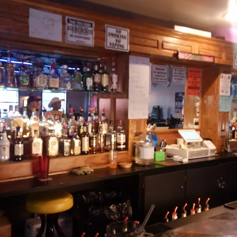 The Purple Goose