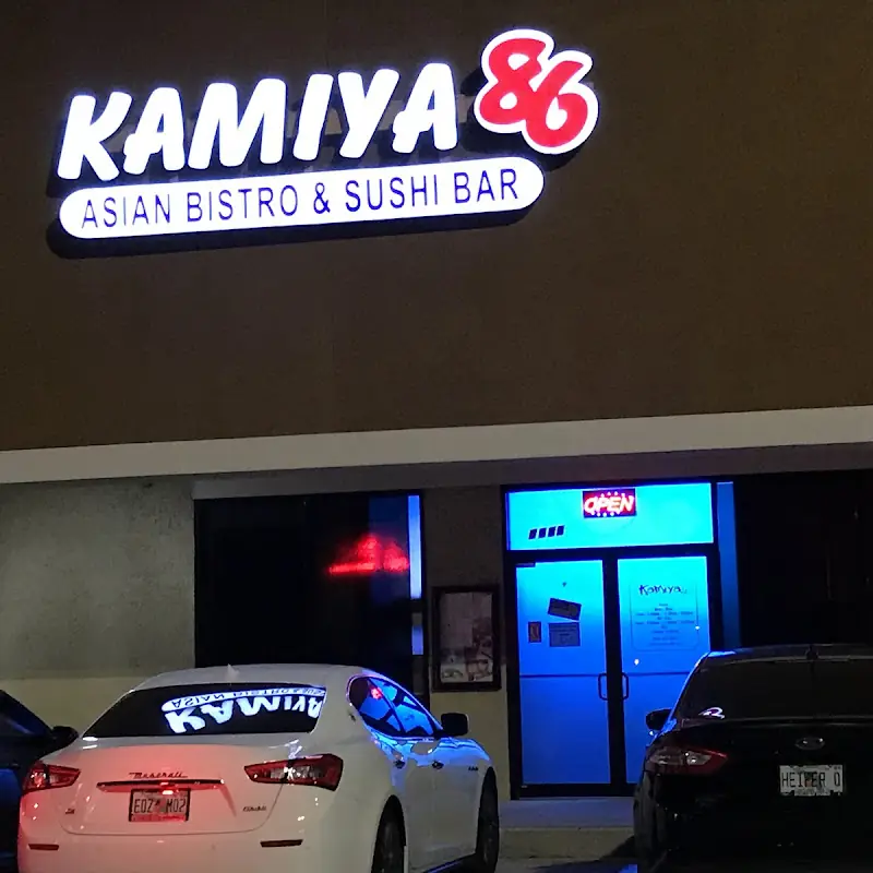Kamiya Special Wonton Soup