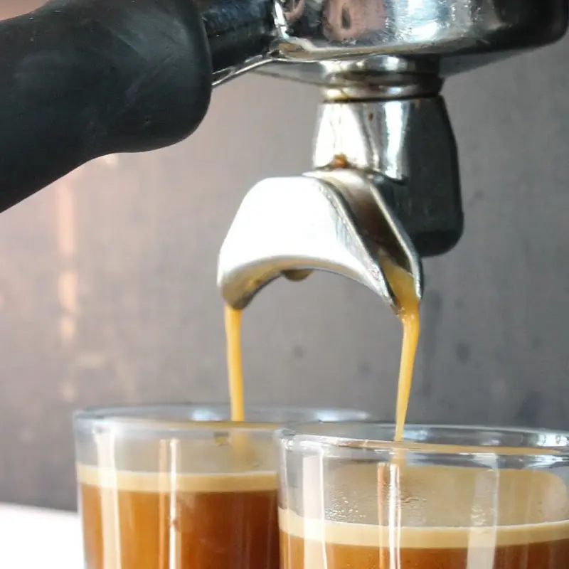 Wild Brewz Coffee Company
