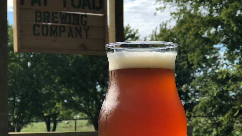 Fat Toad Brewing Company