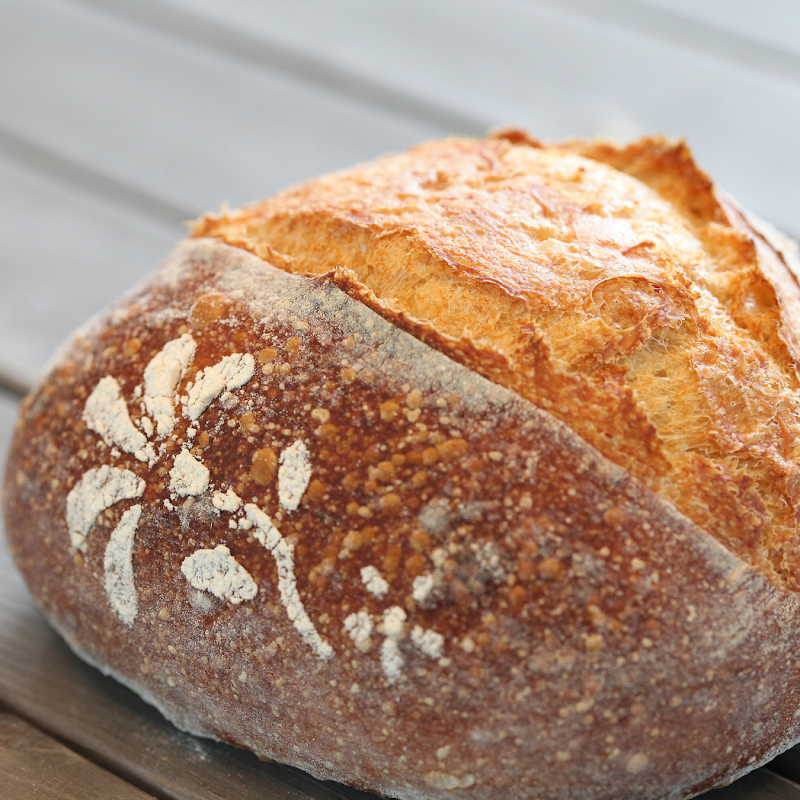 South Dakota Sourdough