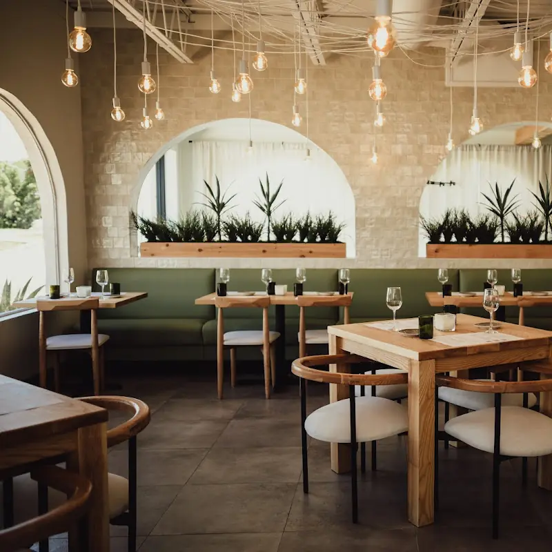Vine & Olive