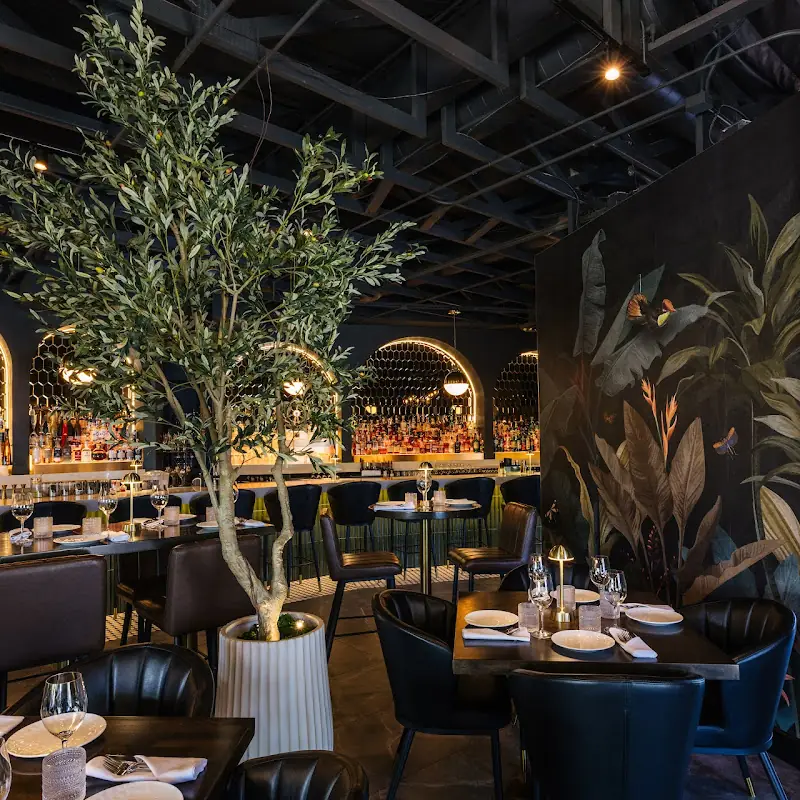 Belmont Kitchen & Cocktails