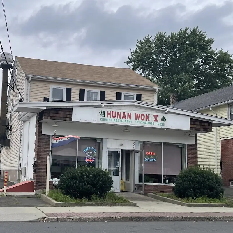 Hunan Wok V