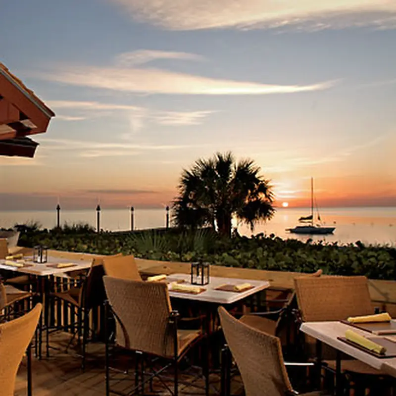 Gumbo Limbo