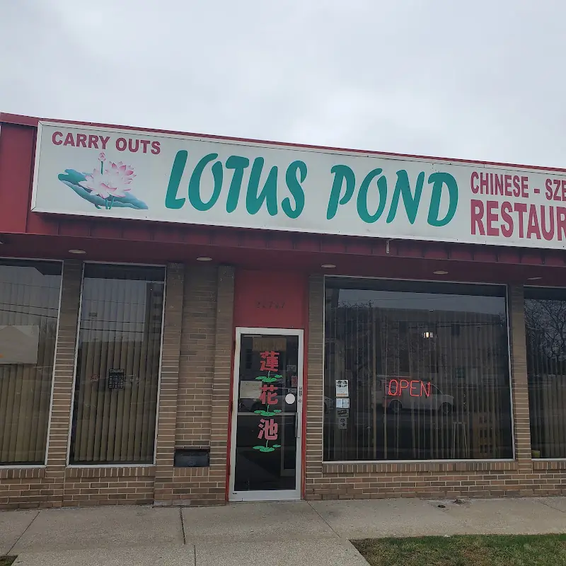 Lotus Pond