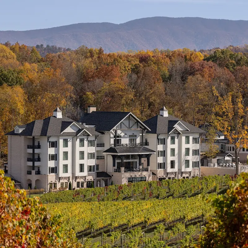 Nicewonder Farm & Vineyards