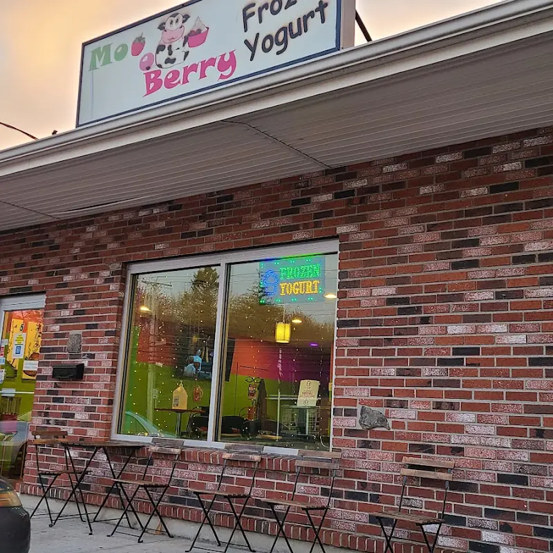 MoooBerry Frozen Yogurt