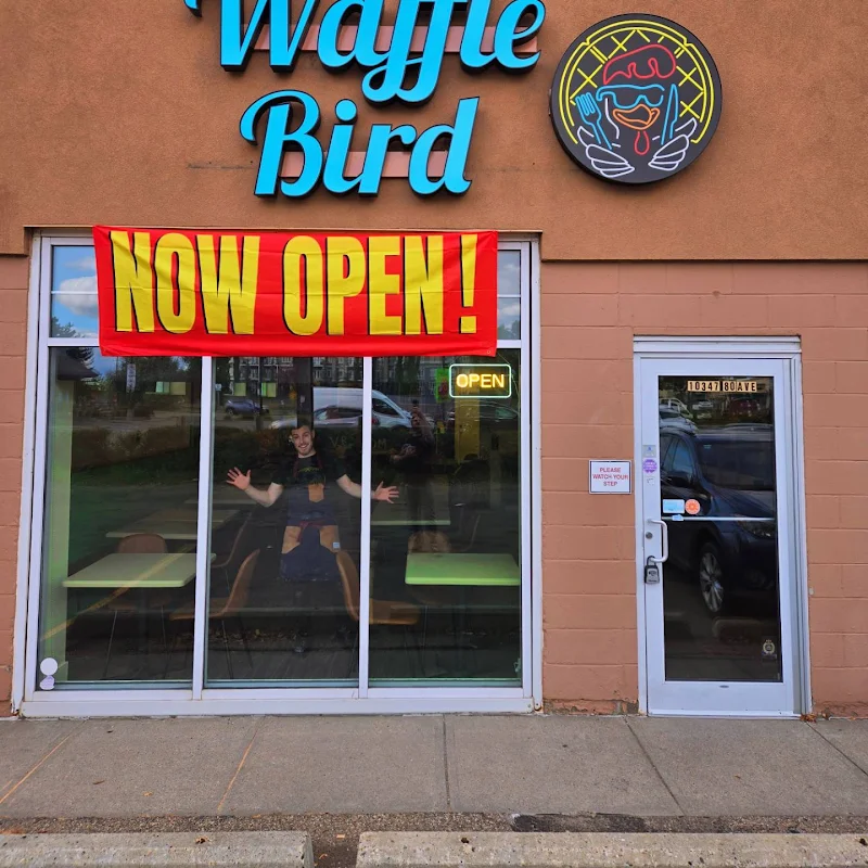 Waffle Bird