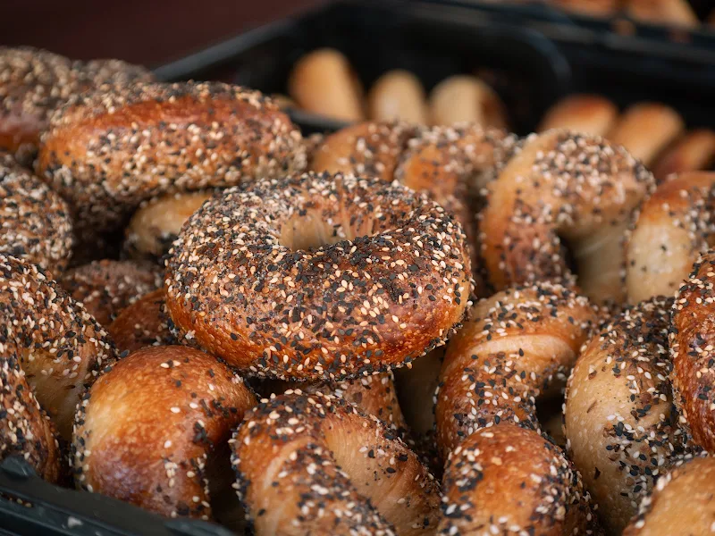 Sebagel