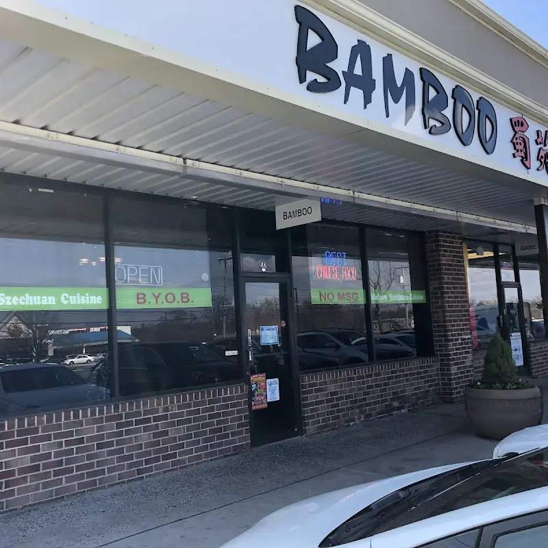 Bamboo
