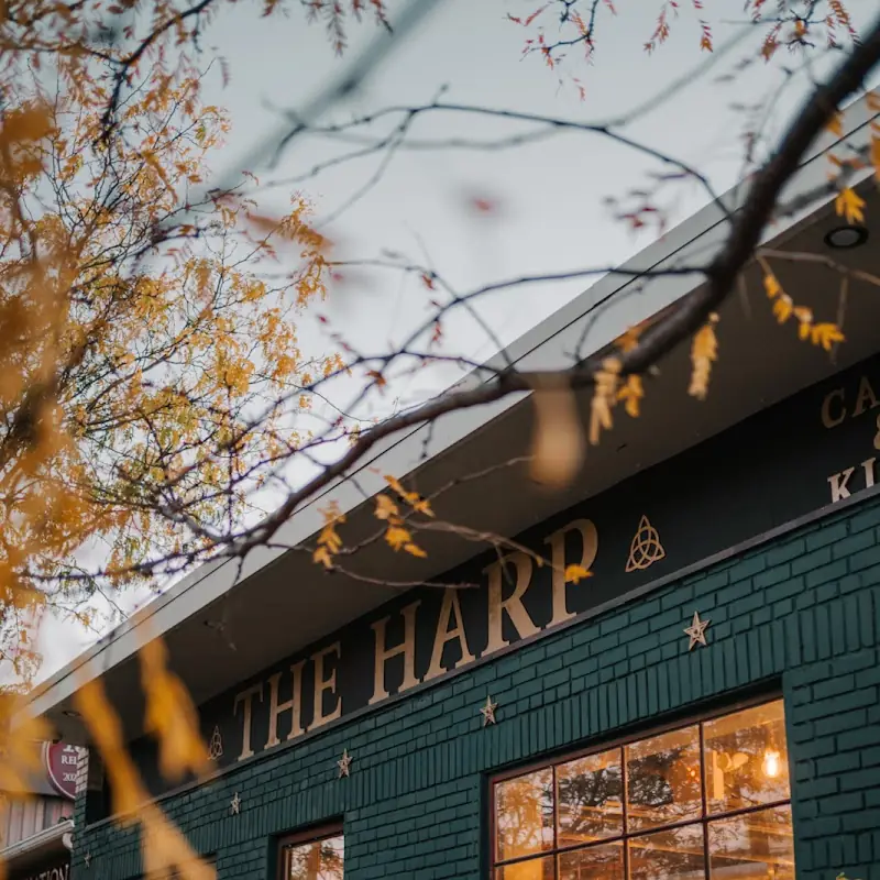 The Harp