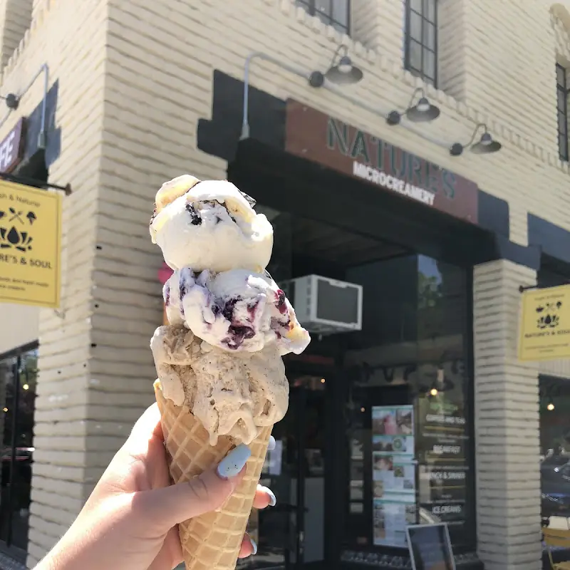 Nature's Organic Ice Cream