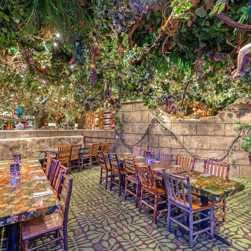 Rainforest Cafe