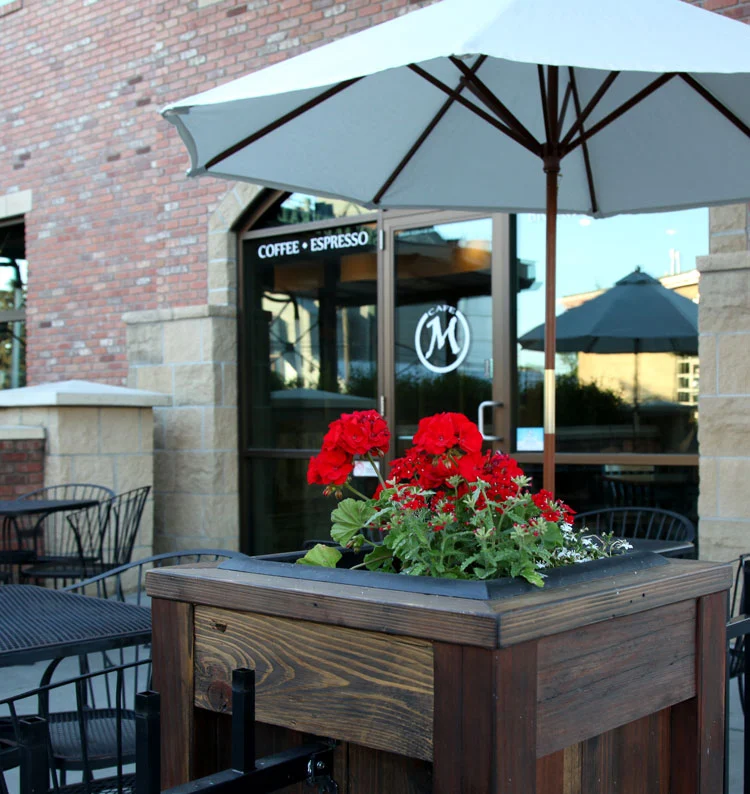 Café M
