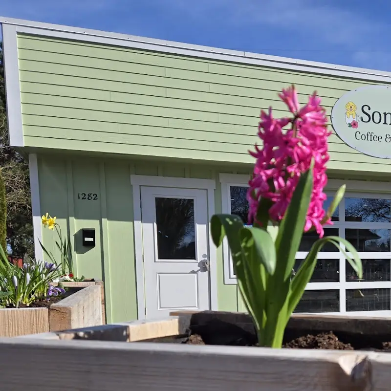 Sonny's Coffee and Plants