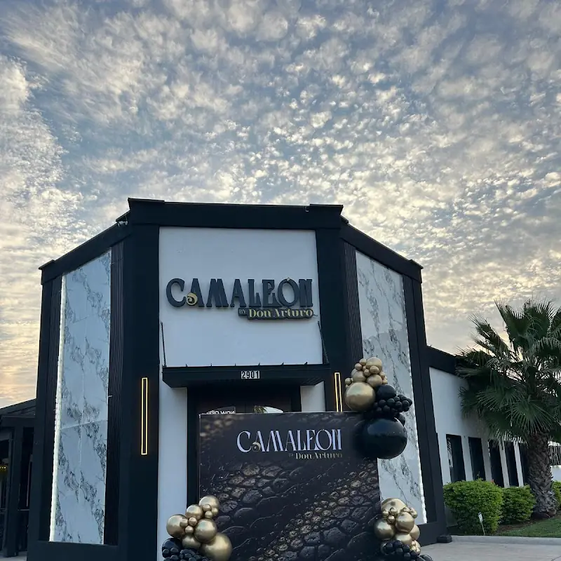 Camaleon by don arturo