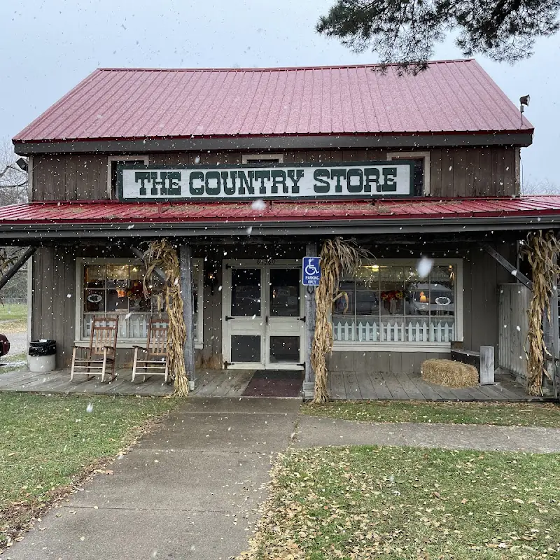 The Daily Blend Cafe