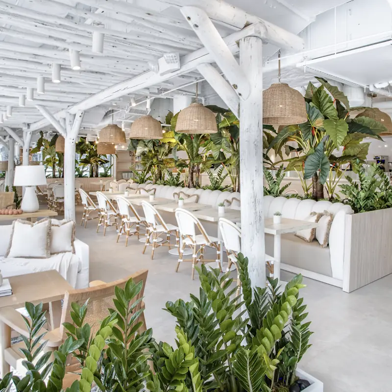 Pura Vida Miami