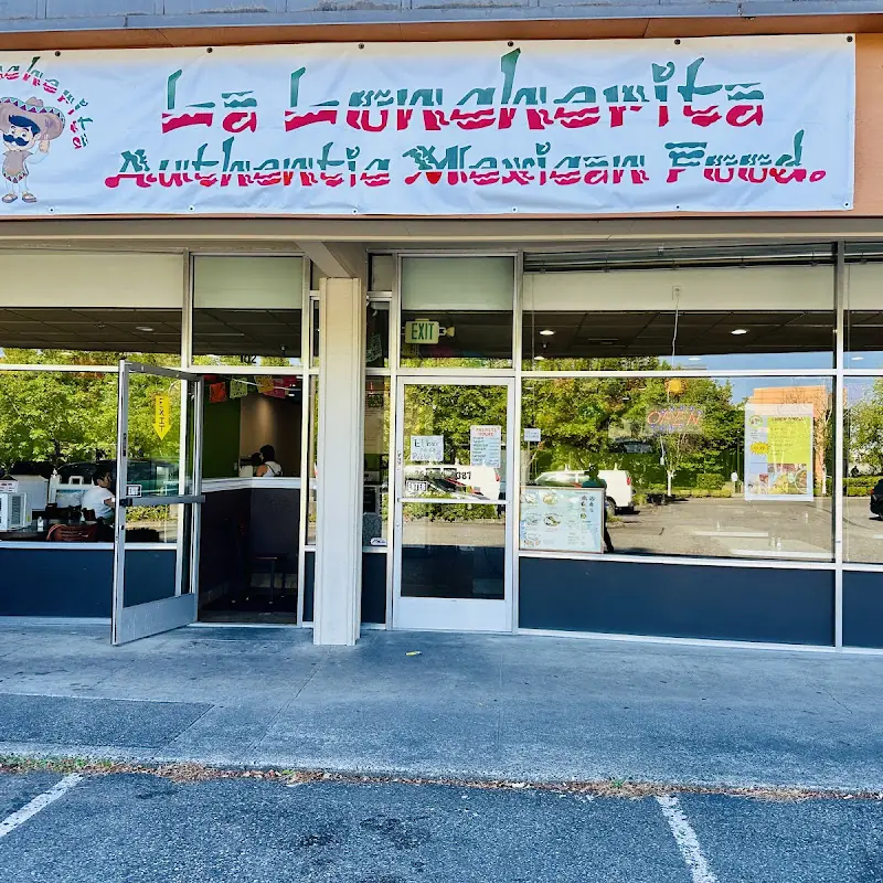 Birria Burrito