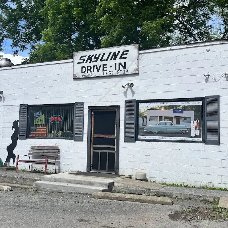 Skyline Drive In